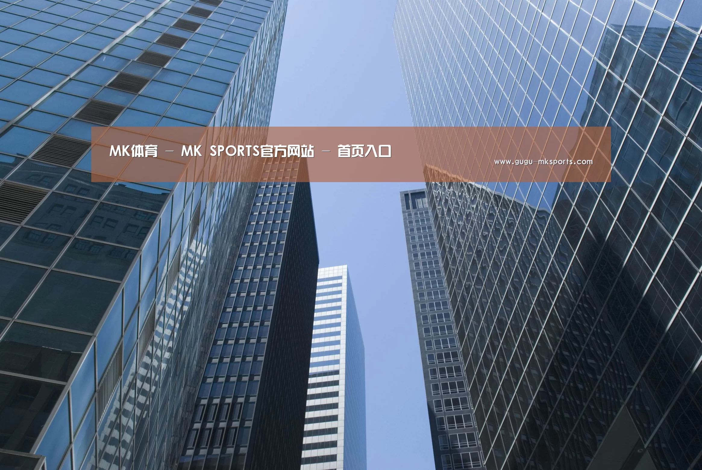 MK体育 公司简介 