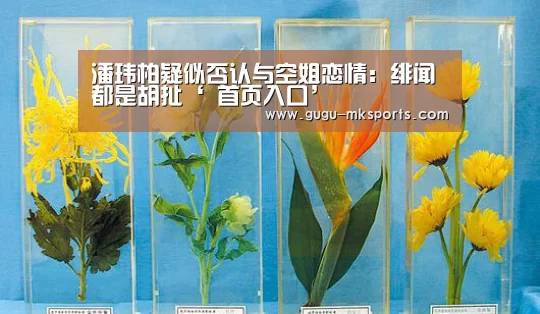 MK体育 