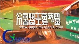 公司职工荣获四川省总工会“革新创新当先锋 提质增效保增长”技术创新结果和合理化建议优秀奖| 首页入口(图1) MK SPORTS官方网站