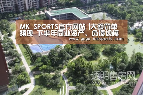MK SPORTS官方网站 |大额罚单频现 下半年同业资产、负债规模增速放缓(图2) MK体育