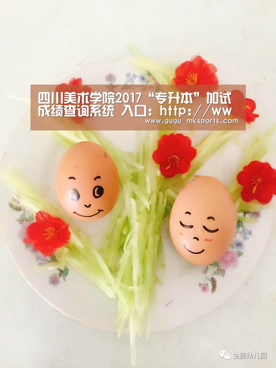 四川美术学院2017“专升本”加试成绩查询系统 入口:http://www.scfai.edu.cn/zhaoshe .-MK体育 (图3) 首页入口
