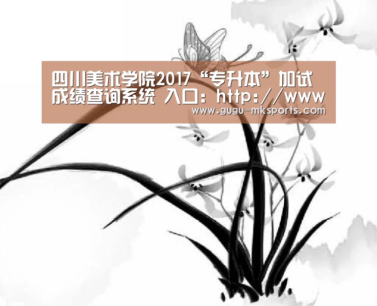 四川美术学院2017“专升本”加试成绩查询系统 入口:http://www.scfai.edu.cn/zhaoshe .-MK体育 (图4) MK体育