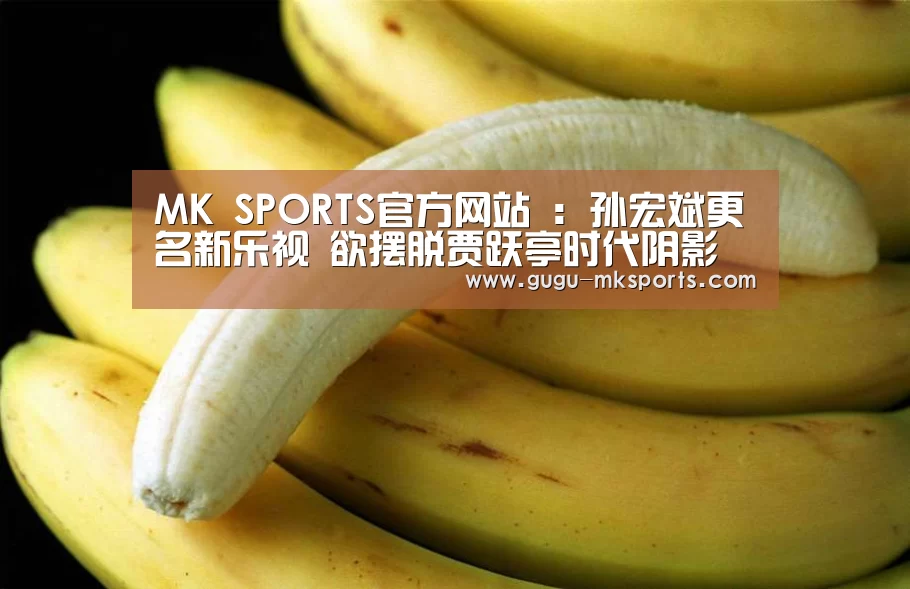 MK SPORTS官方网站 :孙宏斌更名新乐视 欲摆脱贾跃亭时代阴影(图3) 首页入口