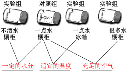 MK SPORTS官方网站 :孙宏斌更名新乐视 欲摆脱贾跃亭时代阴影(图4) MK SPORTS官方网站