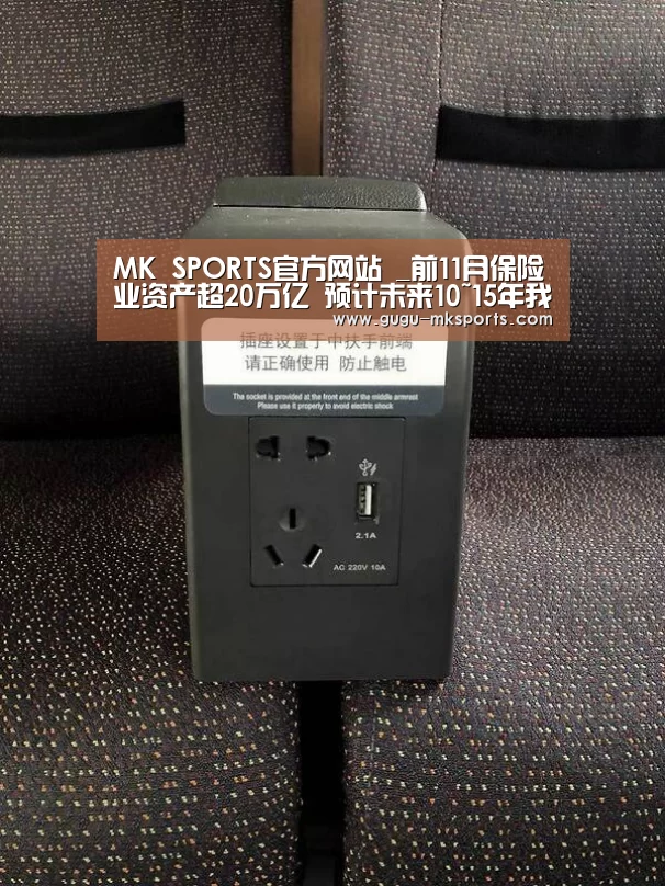 MK SPORTS官方网站 _前11月保险业资产超20万亿 预计未来10~15年我国将成为全球第一大保险市场(图3) MK体育