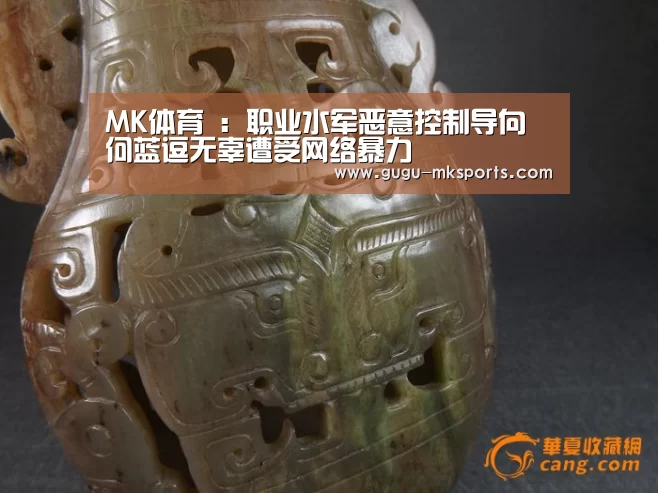 MK体育 :职业水军恶意控制导向 何蓝逗无辜遭受网络暴力(图1) MK SPORTS官方网站
