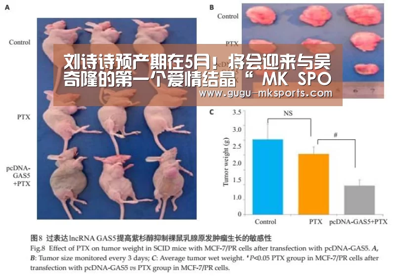 刘诗诗预产期在5月!将会迎来与吴奇隆的第一个爱情结晶“ MK SPORTS官方网站 ”(图1) MK体育
