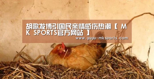 胡歌发博引国民亲情感伤热潮【 MK SPORTS官方网站 】(图1) 首页入口